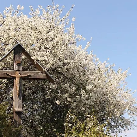 Holiday home Balaton Panorama - National Park